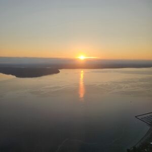 Meet your Posher, Riley